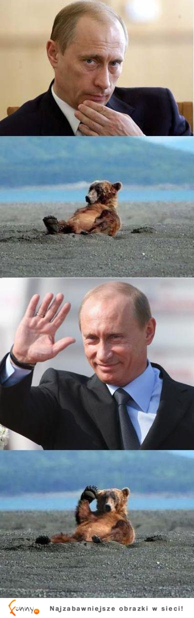 Putin i niedźwiedź :D