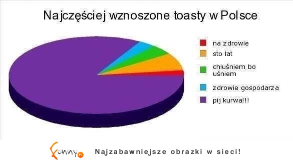 Zobacz najczęściej wznoszone toasty w Polsce :D Najlepsze!