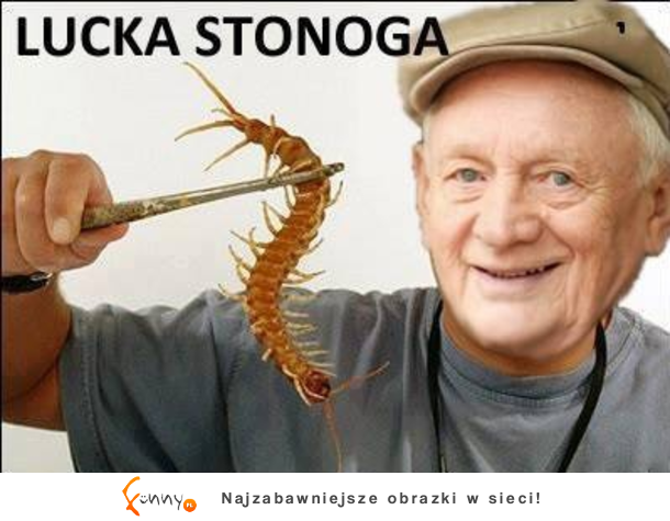 Lucka Stonoga