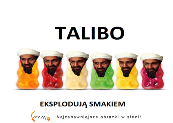 TALIBO