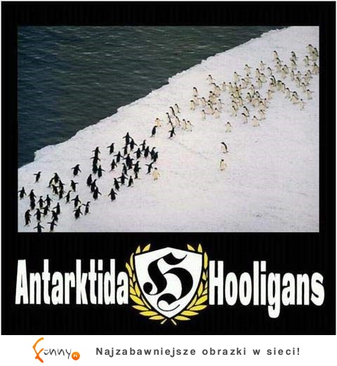 Antarktida Hooligans ;D