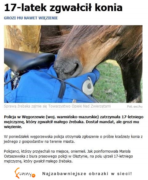 17-latek zgwałcił konia :/ chora historia, co ludzie mają w głowach!