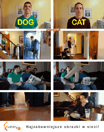Zachowanie psa i kota - różnica :D