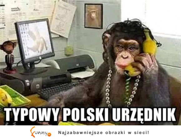 Typowy polski urzędnik