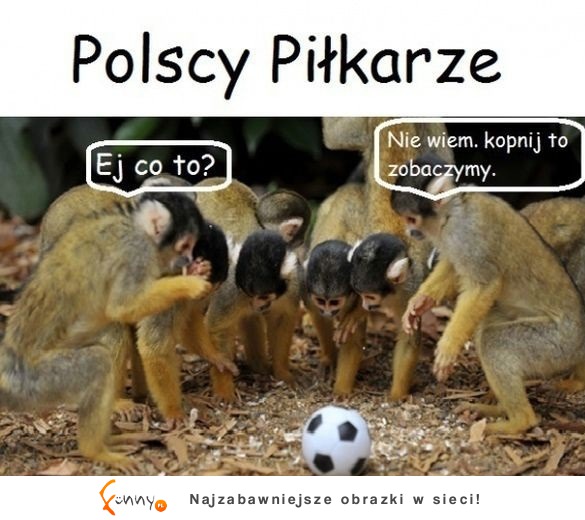 Polscy-pilkarze-jpg