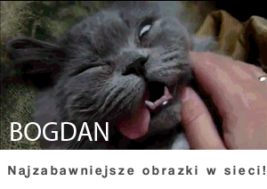 Bogdan wstawaj :D Mega kot