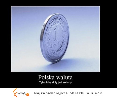 Paradoks polskiej waluty. Zastanawiałeś się kiedyś co z tym jest nie tak? ;D