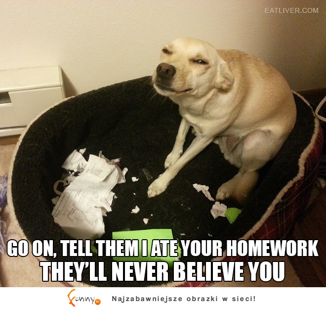 gdy Twój pies zjada Twoją pracę domową