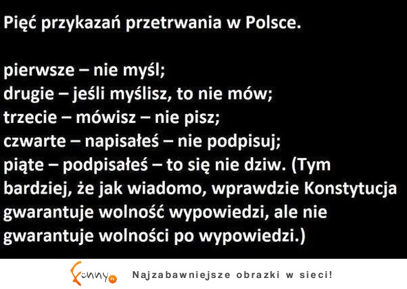 Pięć przykazań przetrwania w Polsce :)