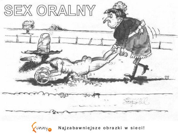 Sex orlany