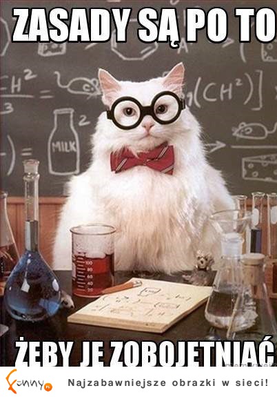 Chemiczny kot