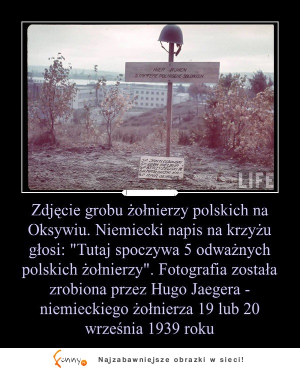 Zdjęcie grobu żołnierzy polskich zrobione na Oksywiu w Gdyni. Napis głosi...