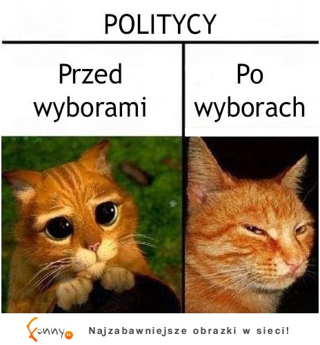 Politycy :-)