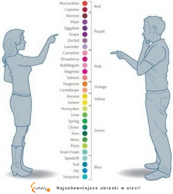 Jak widzą kolory kobiety, a jak mężczyźni? PRAWDA ;D