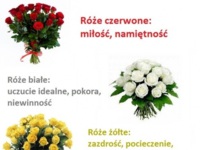 Zobacz co oznacza kolor kwiatów, jakie daje Ci twój chłopak, mąż, kochanek... ;)