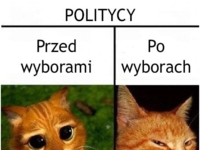 Politycy :-)