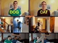 Pies vs Kot :)