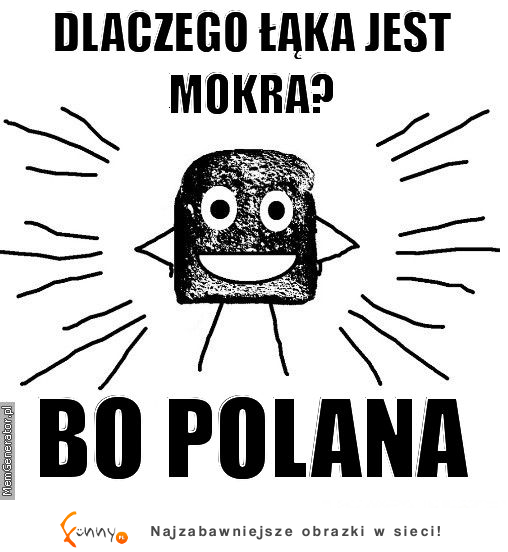 Dlaczego łąka jest mokra?