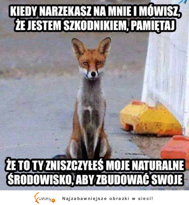 Nie narzekaj na zwierzęta