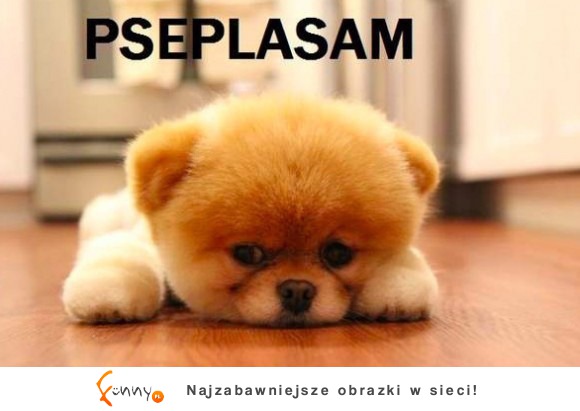 PSEPLASAM