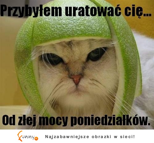 Przybył uratować cię od złej mocy poniedziałku XD