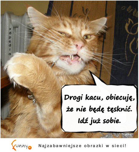 Drogi kacu