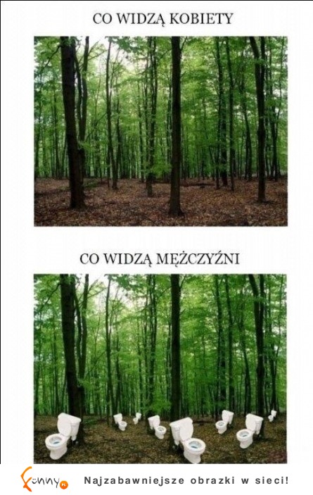 LAS- co widzą KOBIETY a co widzą MĘŻCZYŹNI- dobre!