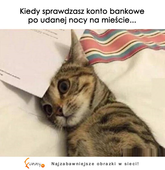 Kiedy sprawdzasz konto bankowe...