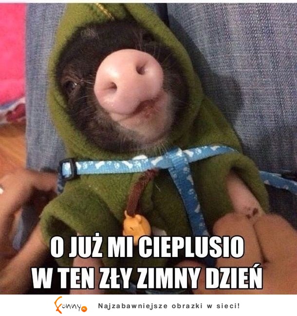 Już cieplutko