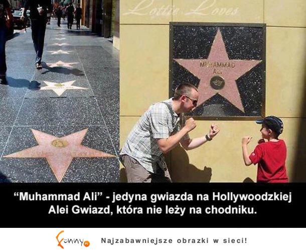 Gwiazda Muhammada Aliego