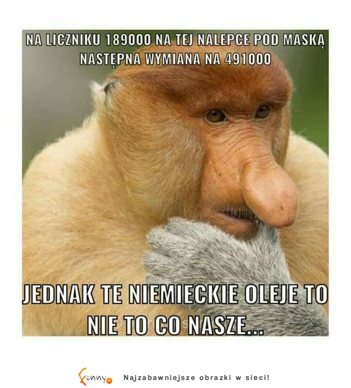 Te niemieckie oleje... XD