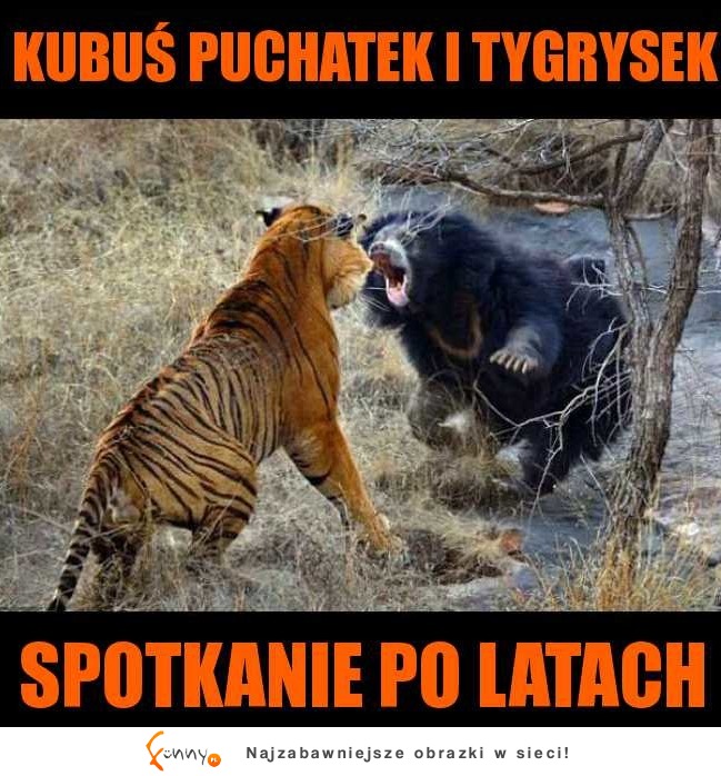 Kiedy Kubuś spotkał Tygryska po latach XD Chyba nie tak miało to wyglądać :D