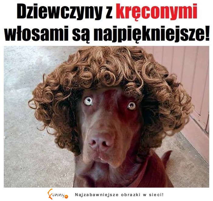 NAJPIĘKNIEJSZE SĄ! :D