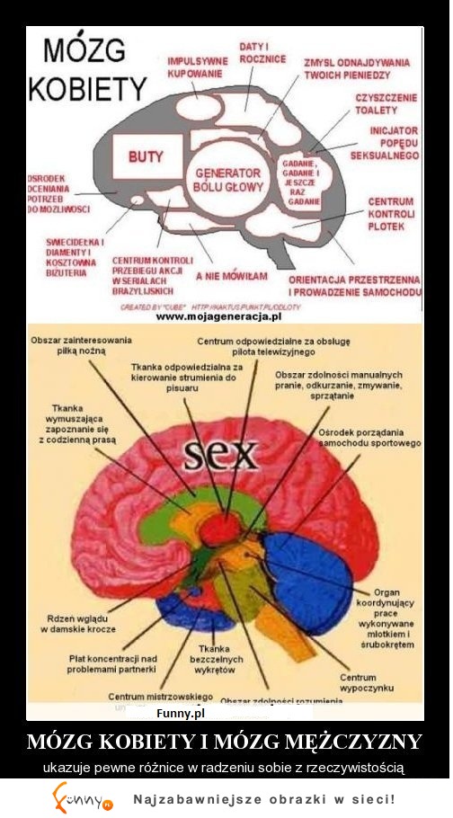 MÓZG Kobiety vs MÓZG Mężczyzny! Sprawdź różnicę! :P