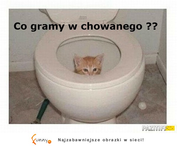 chowany