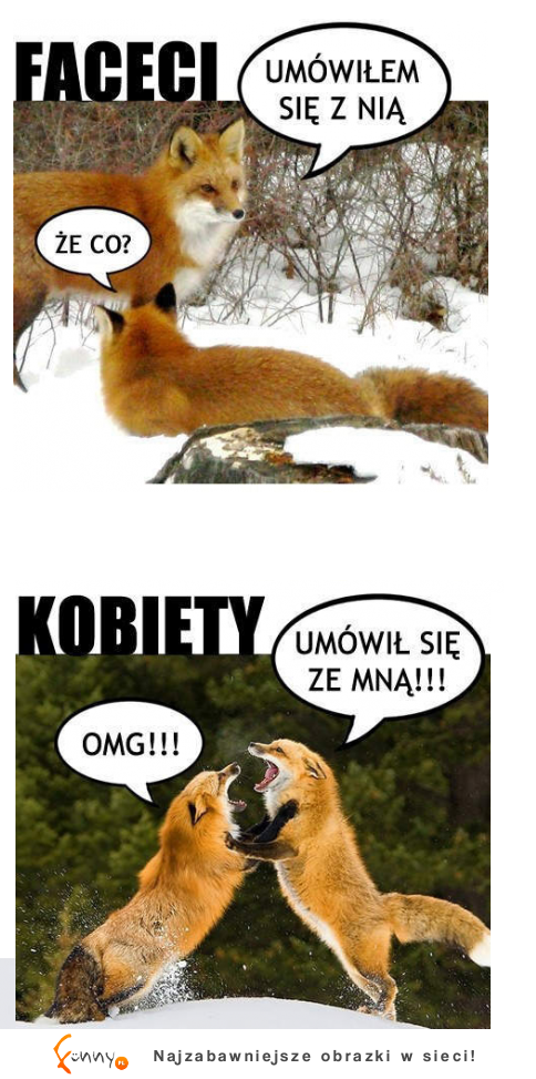 Facet vs Kobieta ZOBACZ jak reagują :D