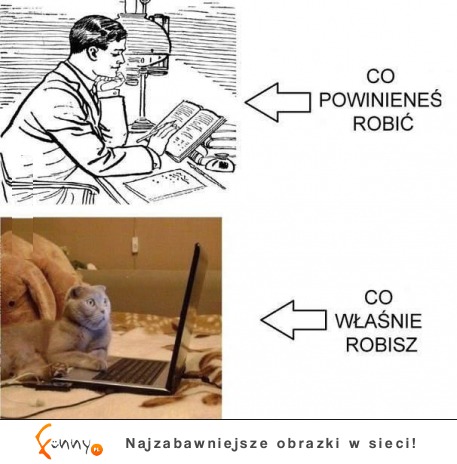 Co powinieneś robić :)