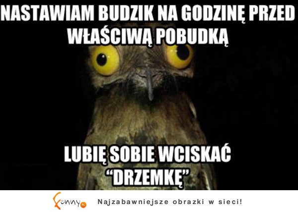 Lubię sobie wcisnąć