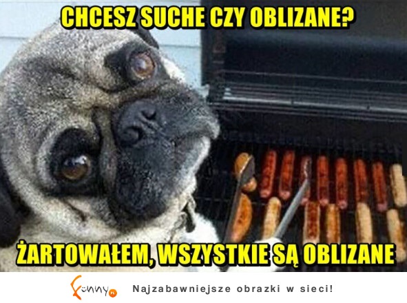 Chcesz suche czy oblizane?