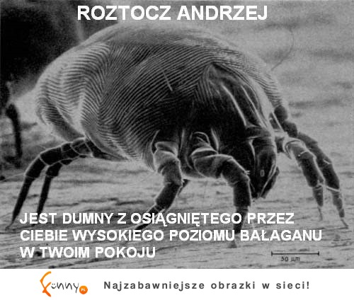 Roztocz Andrzej ;D