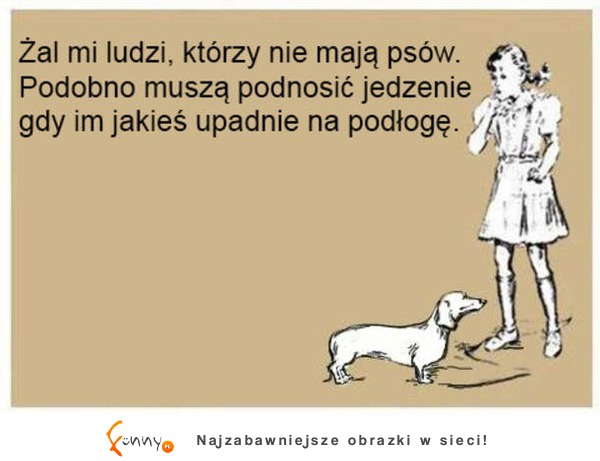 Życie bez psa