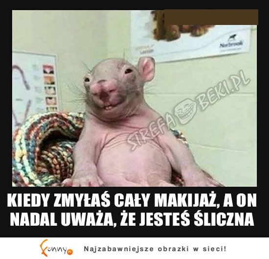 Dalej piękna