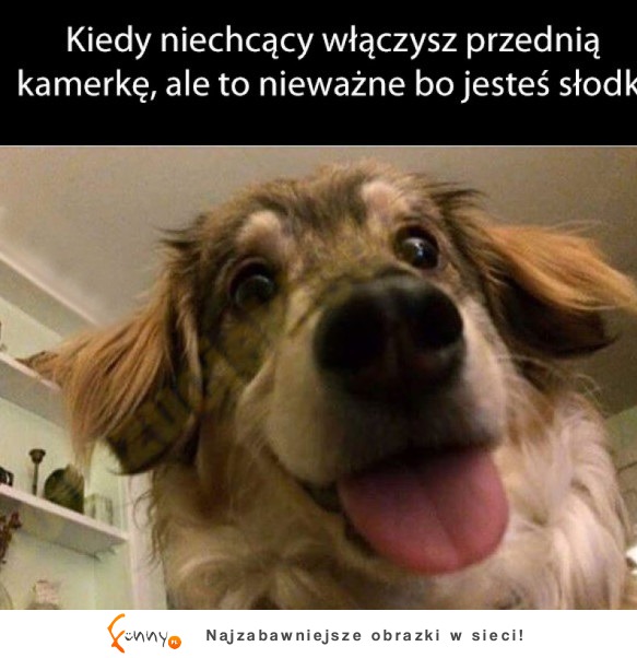 Jest słodki