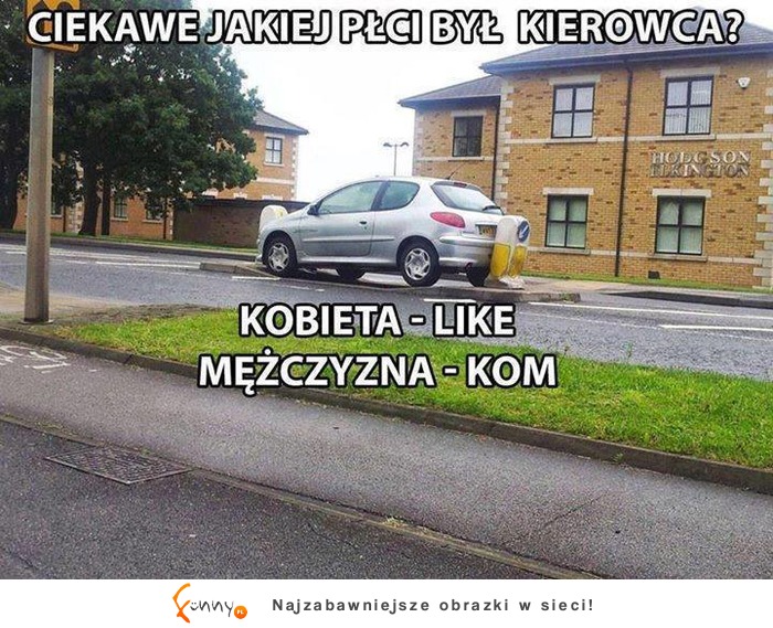 zgadnij płeć