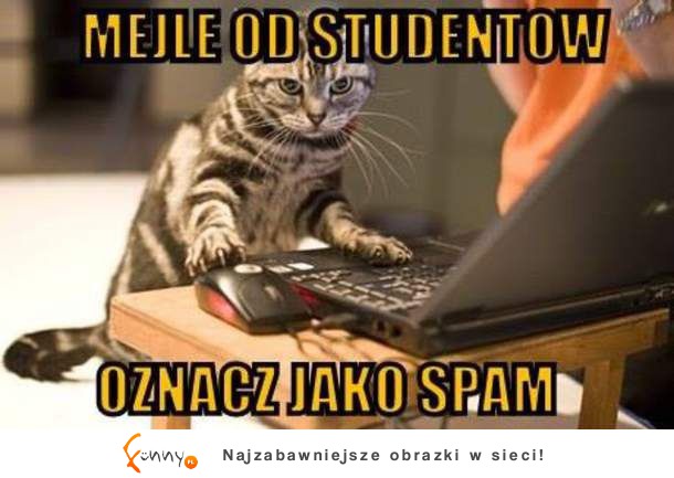 Od studentów