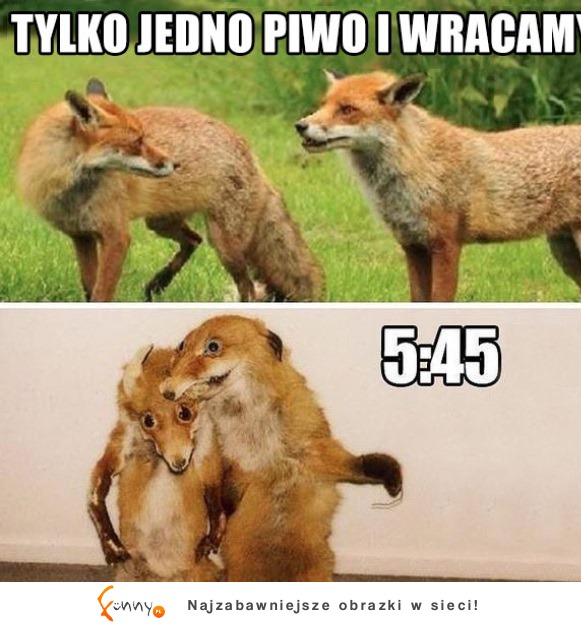 Jedno piwo