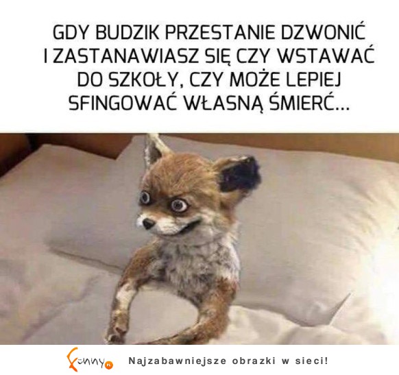 Przestanie dzwonić