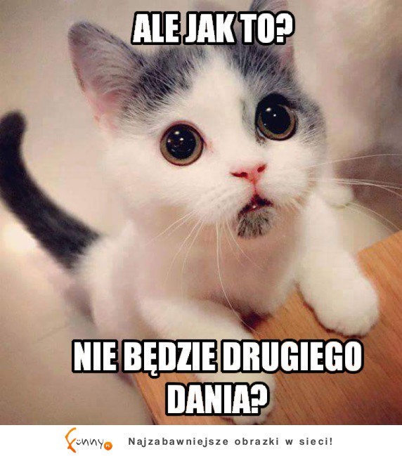 Ale jak to Ale jak to