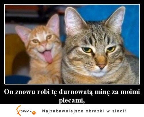 On znowu robi tą durnowatą mine za moimi plecami? :-)