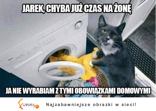 Czas na żonę